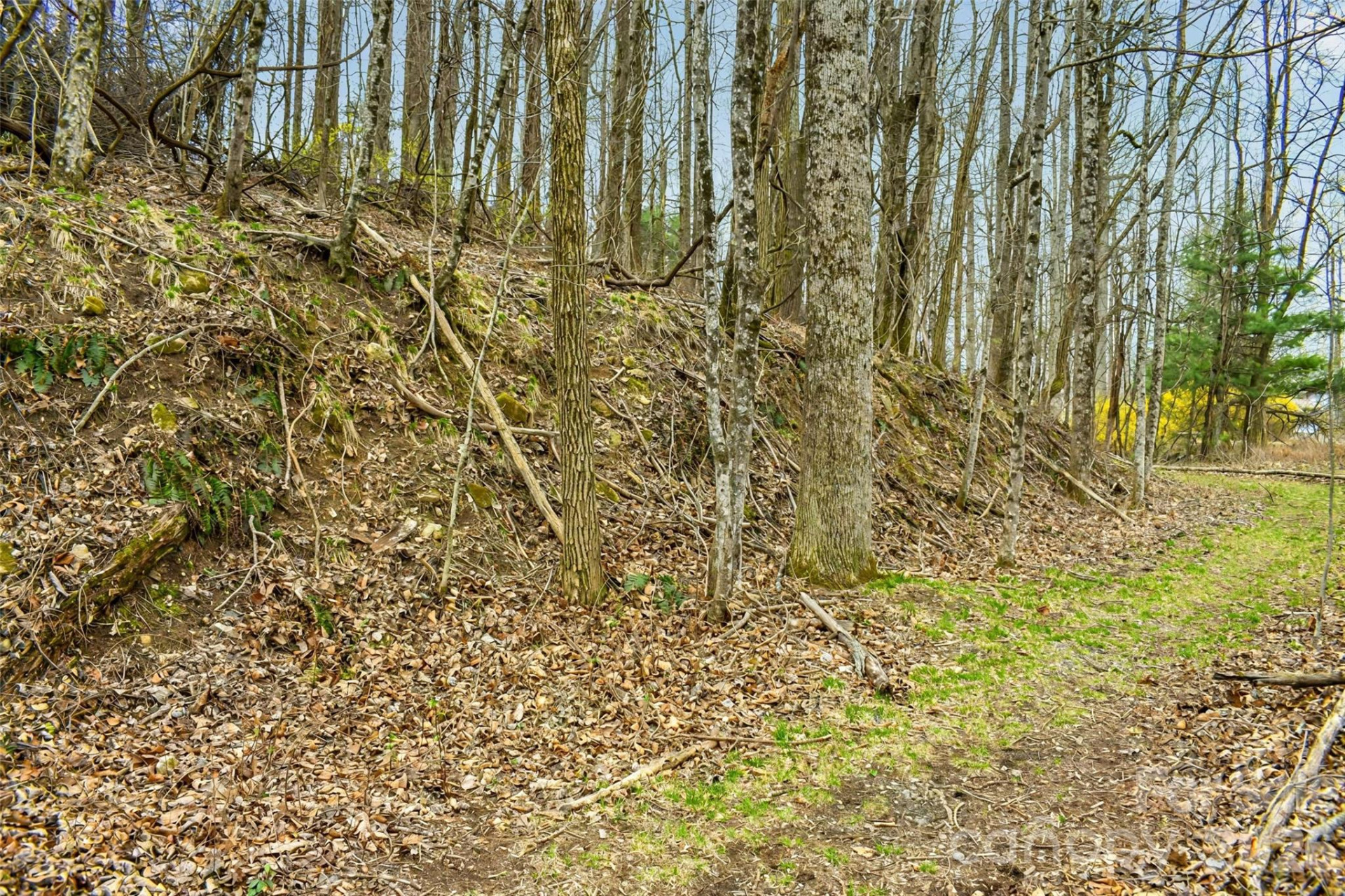 252 Pinewood Circle - Photo 4