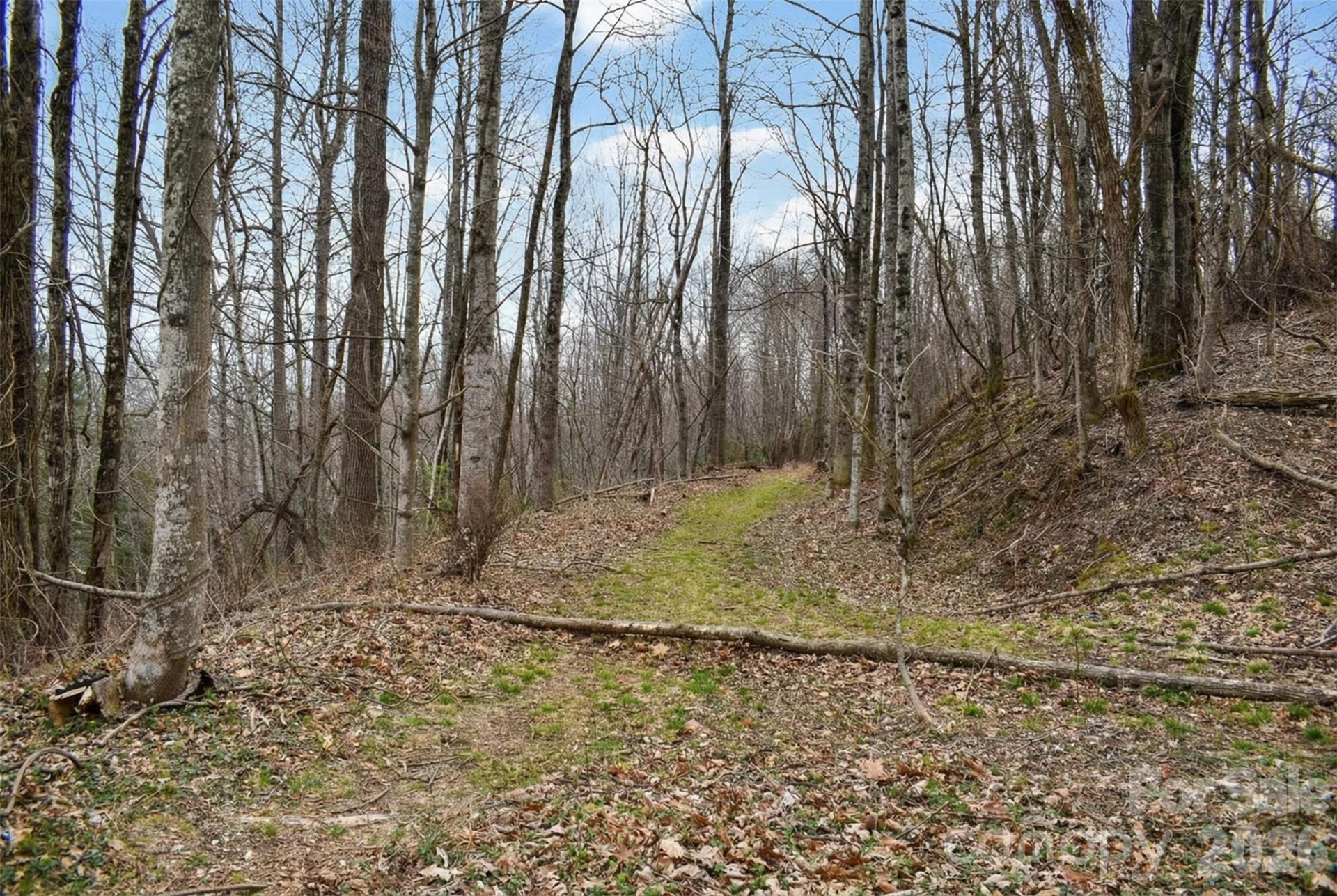 252 Pinewood Circle - Photo 5