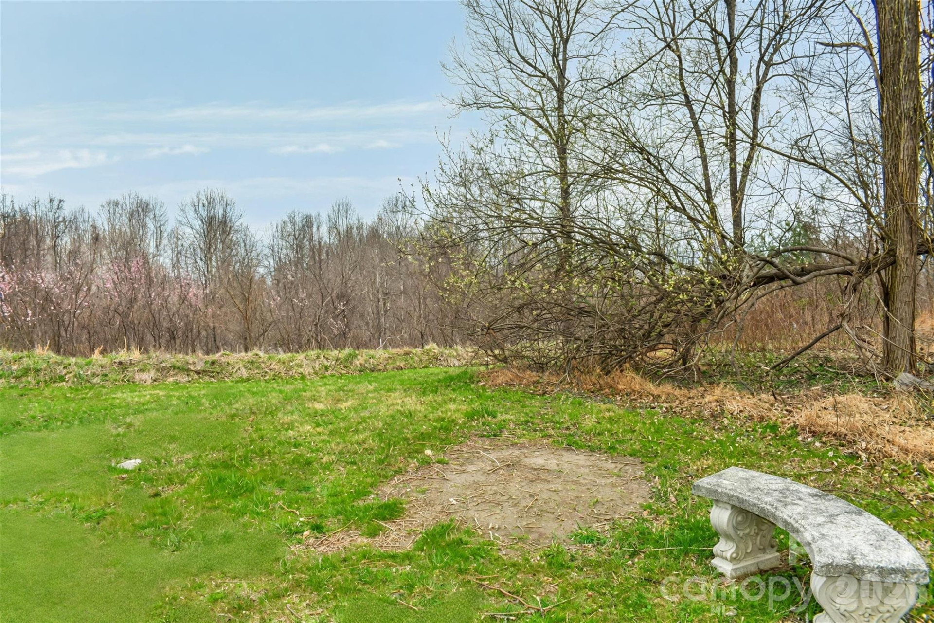 252 Pinewood Circle - Photo 7