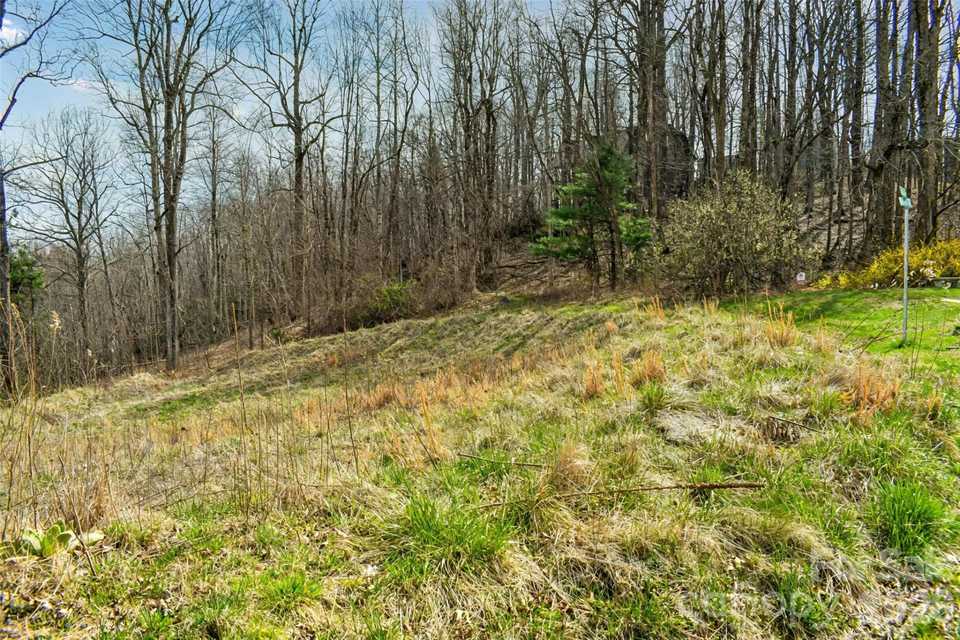 252 Pinewood Circle - Photo 8