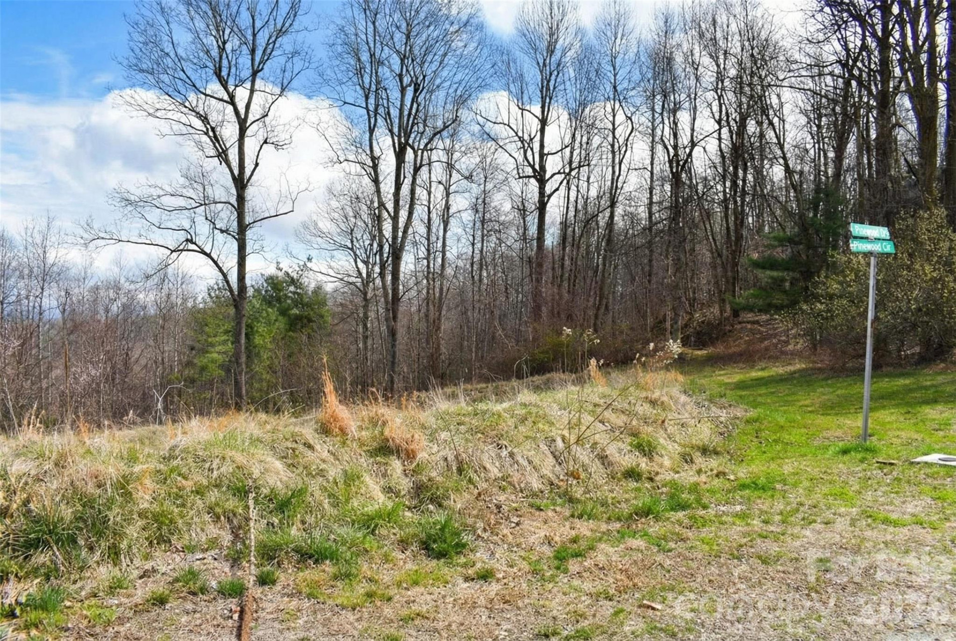 252 Pinewood Circle - Photo 9