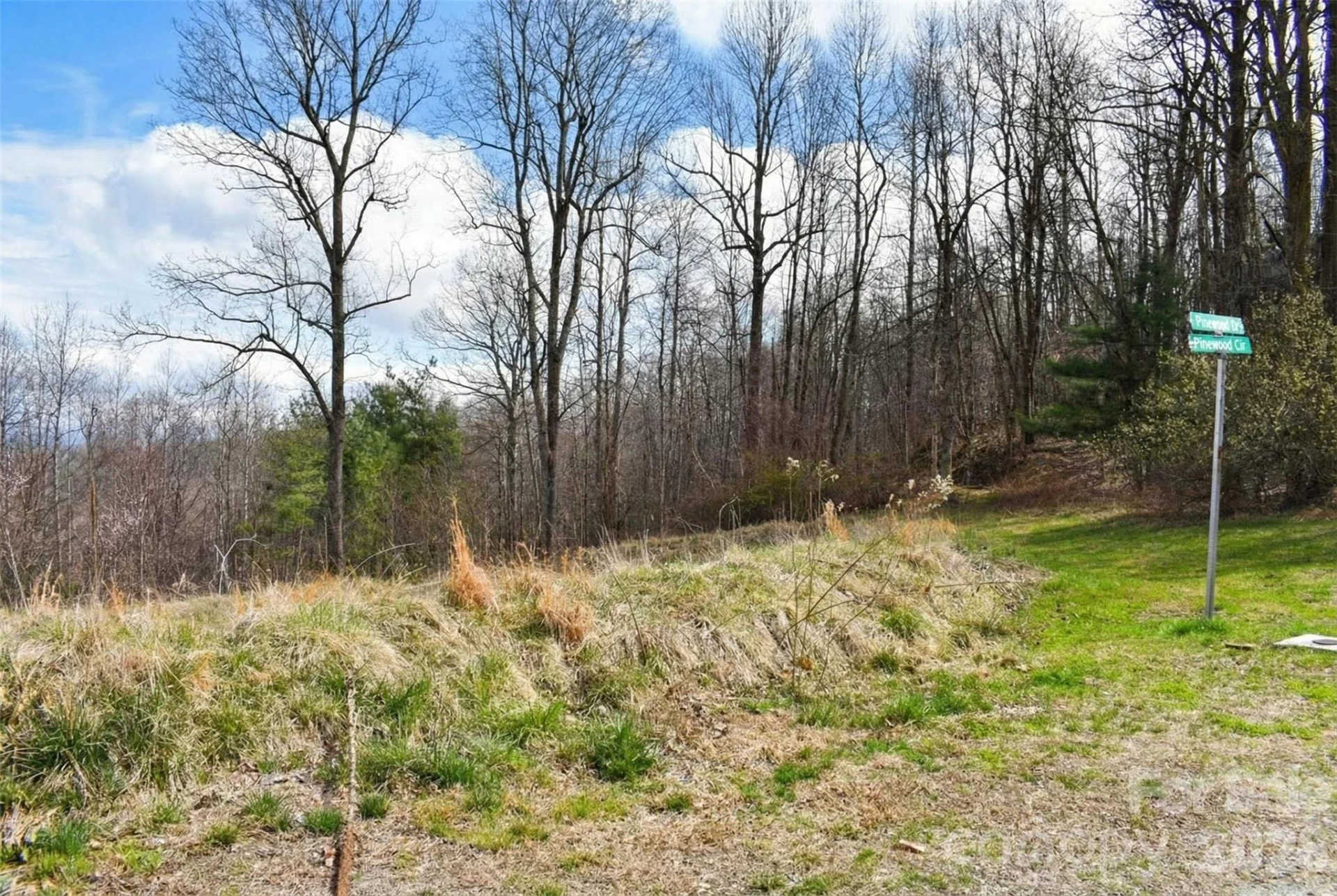 252 Pinewood Circle - Photo 9