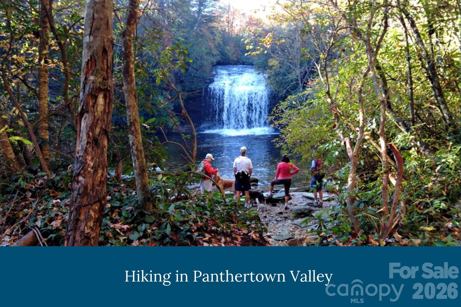 Lot 29 Summit Ridge Road - Photo 5