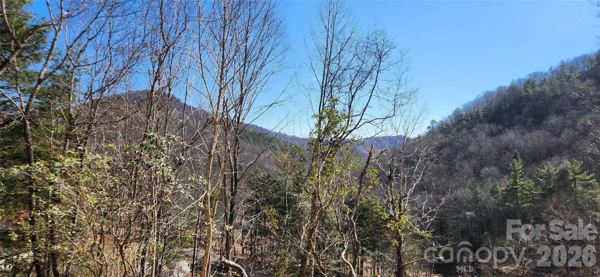 23 Craig Circle - Photo 2
