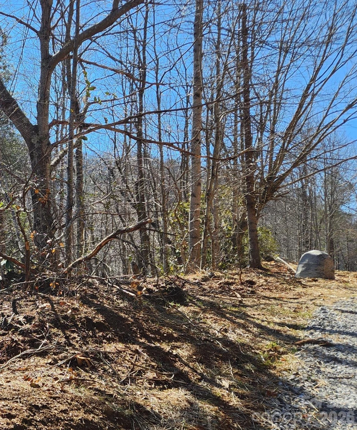 23 Craig Circle - Photo 6