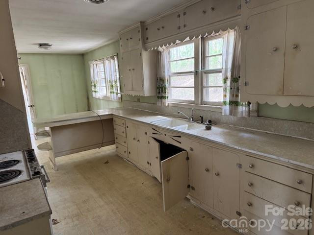 3053 Mineral Springs Mountain Road - Photo 13