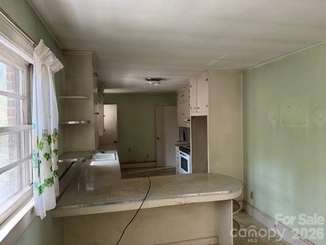 3053 Mineral Springs Mountain Road - Photo 7