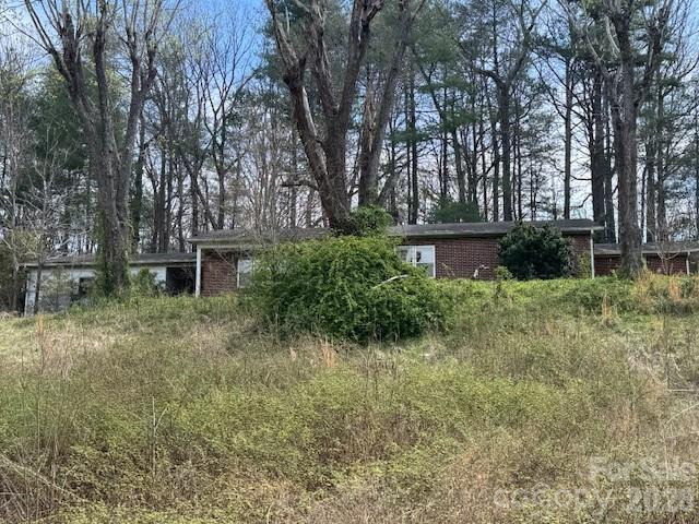 3053 Mineral Springs Mountain Road - Photo 10