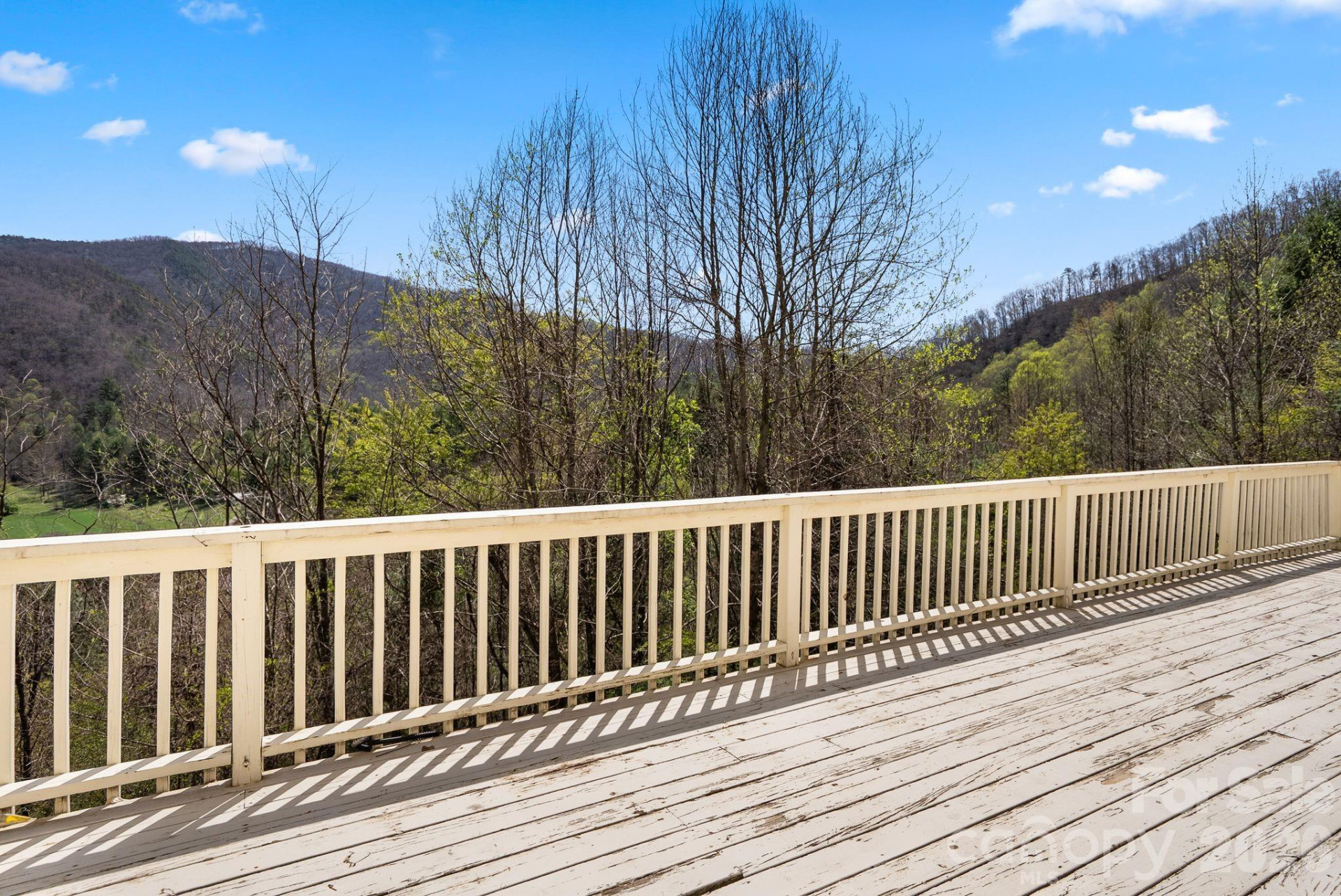 267 Eagles Trace - Photo 20