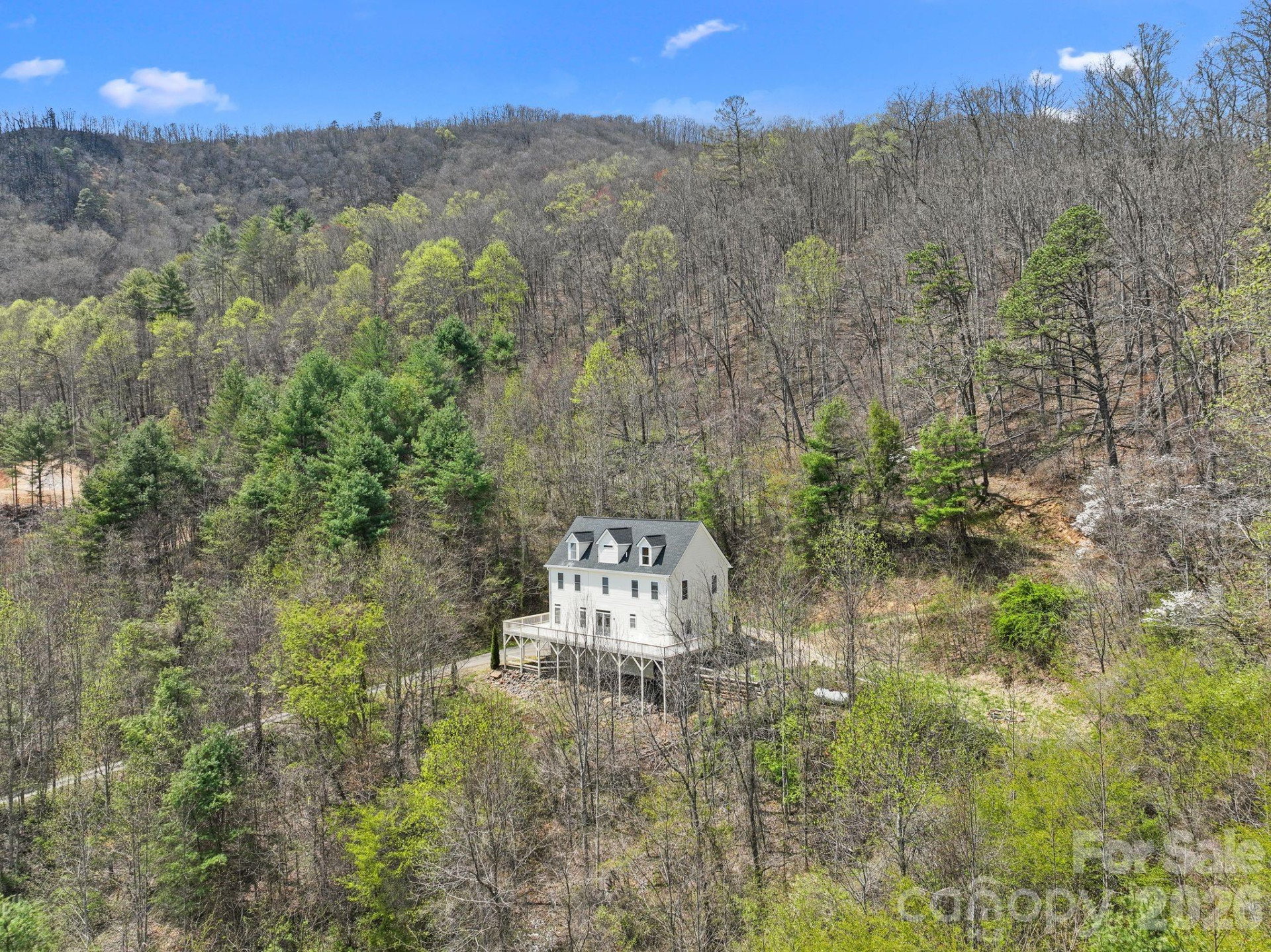 267 Eagles Trace - Photo 43