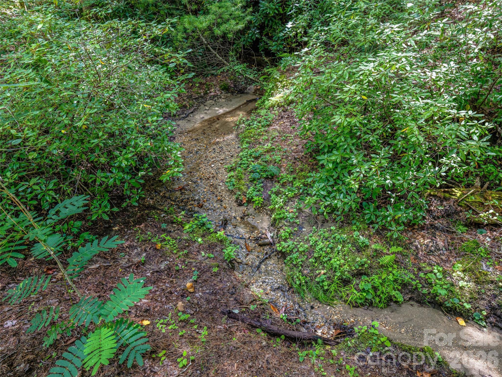 685 Shumont Road - Photo 11