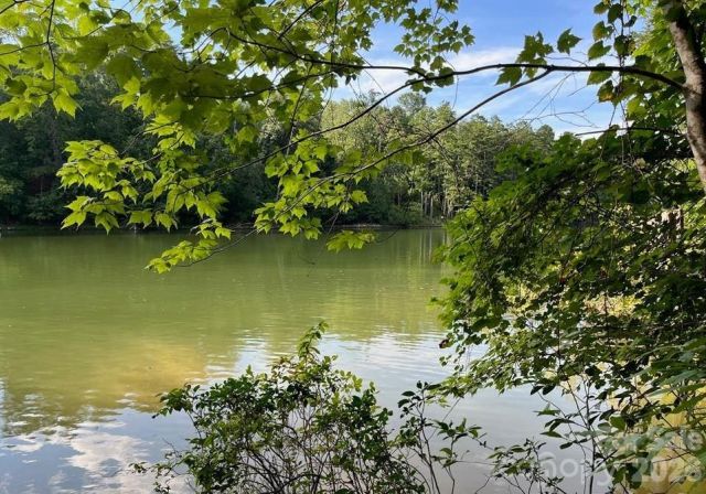 00 Canoe Drive, Mill Spring, NC, 28756