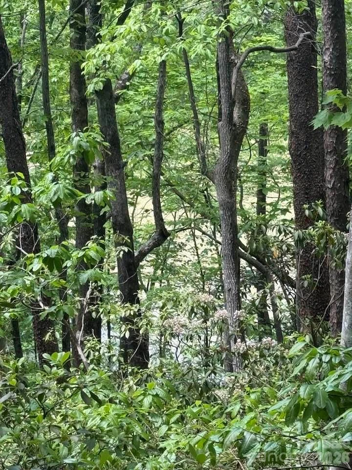 00 Canoe Drive #44 - Photo 15