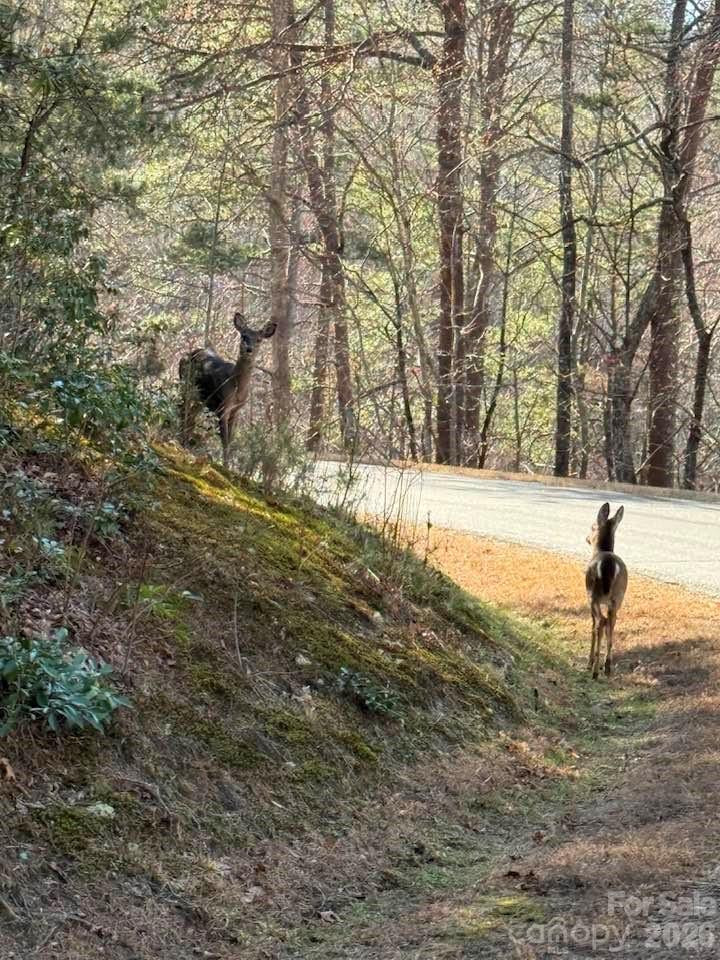 00 Canoe Drive #44 - Photo 12