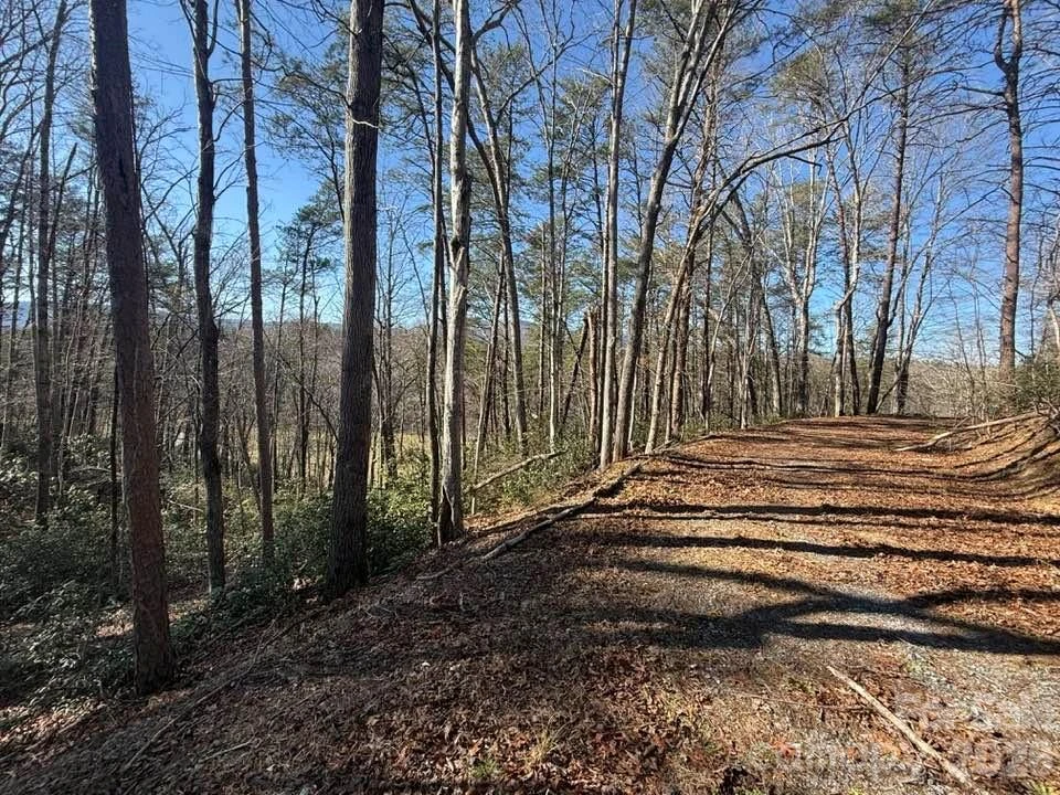 00 Canoe Drive #44 - Photo 18