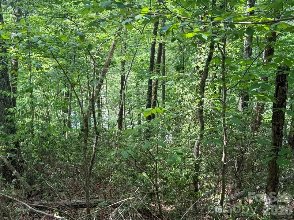 00 Canoe Drive #44 - Photo 20