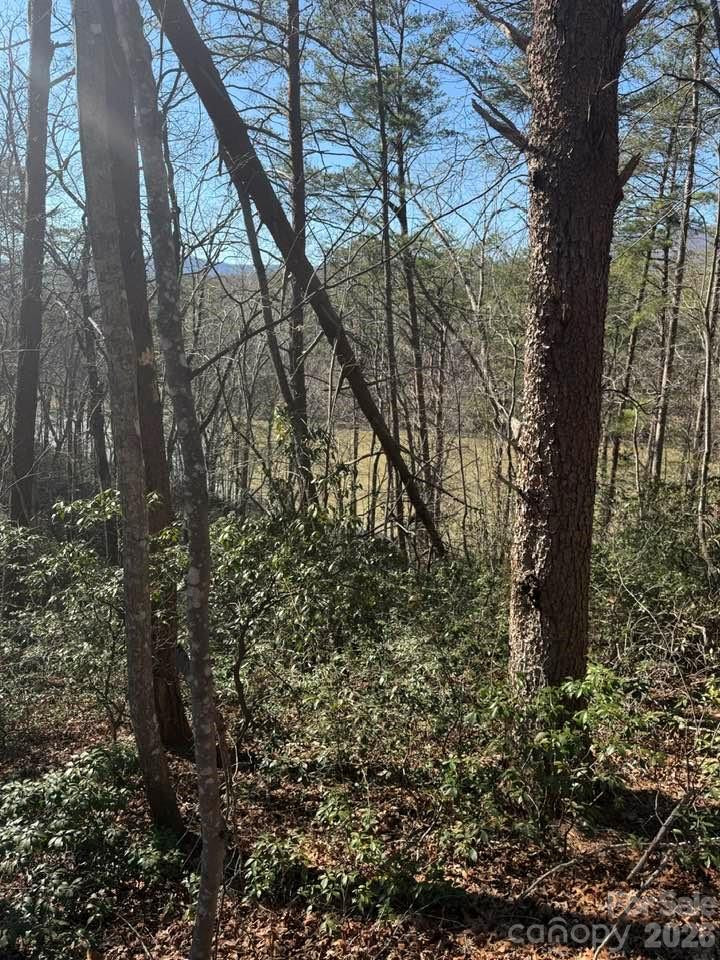 00 Canoe Drive #44 - Photo 18