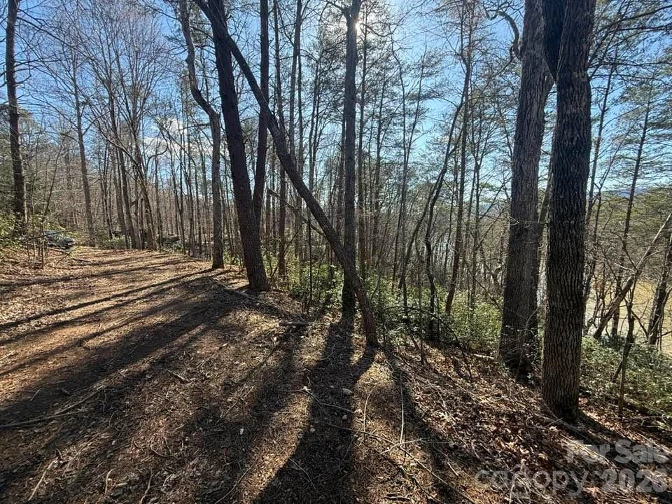00 Canoe Drive #44 - Photo 25