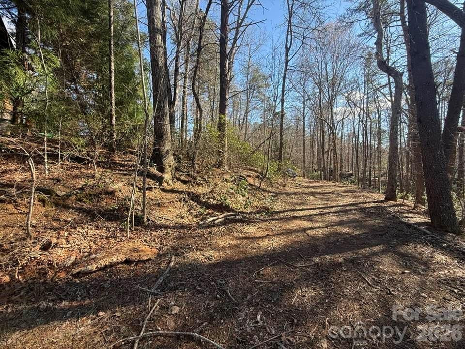 00 Canoe Drive #44 - Photo 3