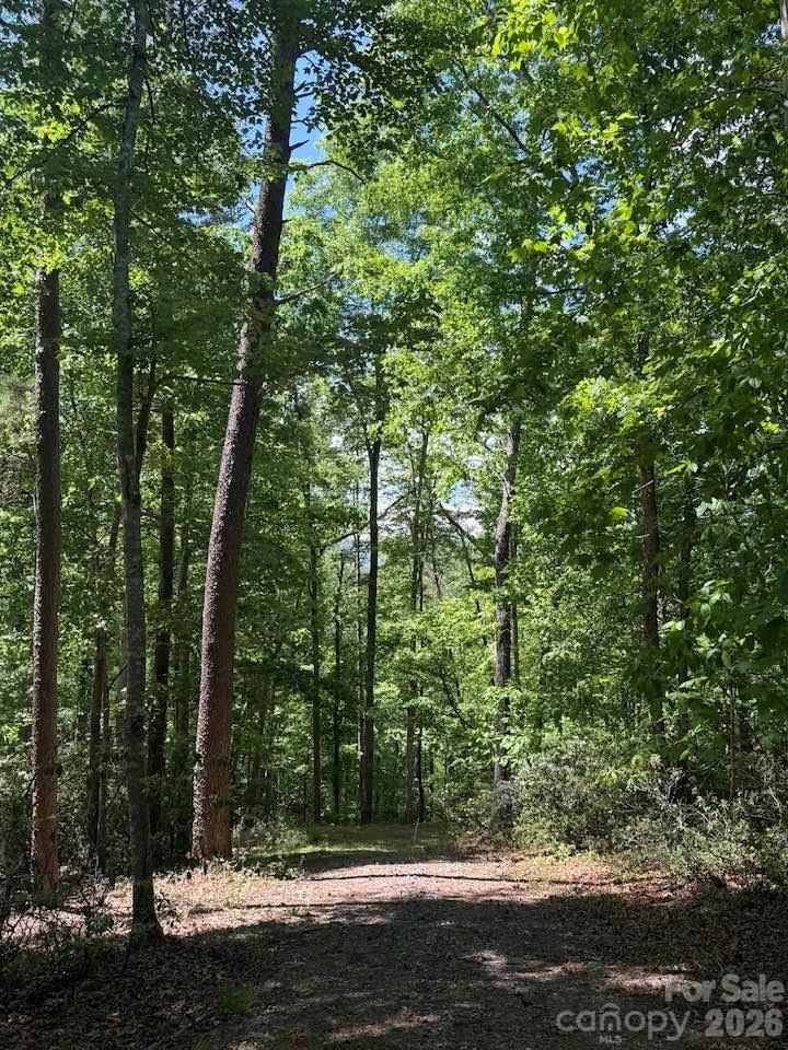 00 Canoe Drive #44 - Photo 26