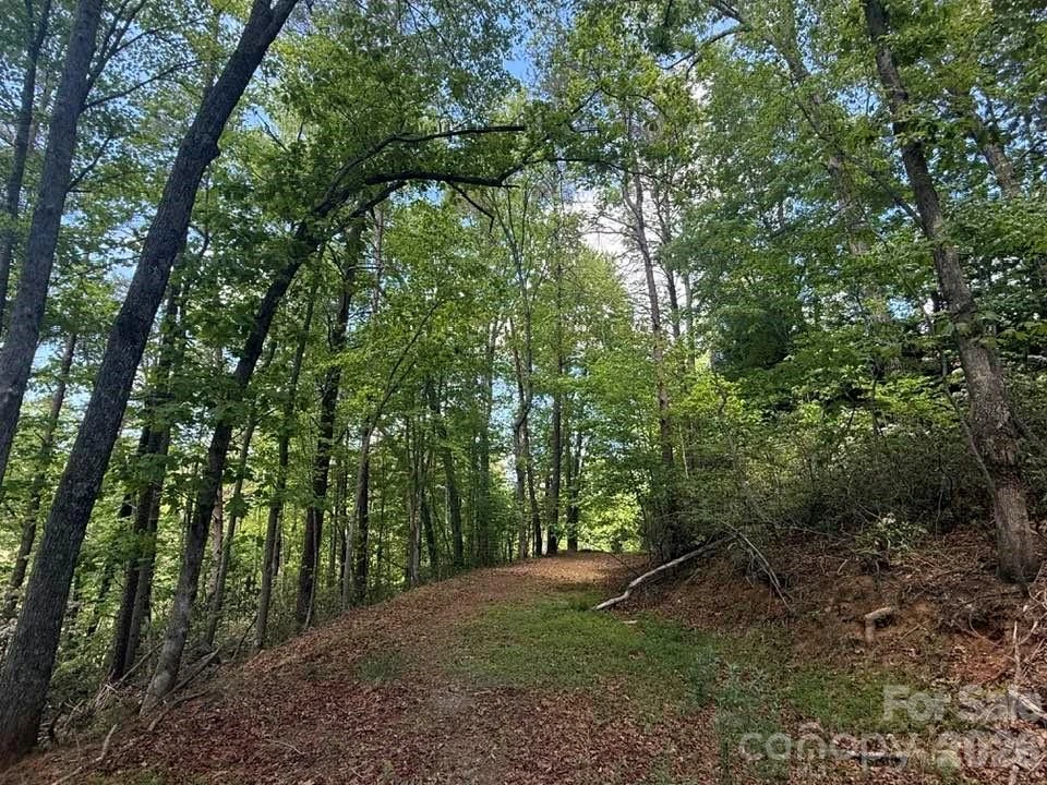 00 Canoe Drive #44 - Photo 29