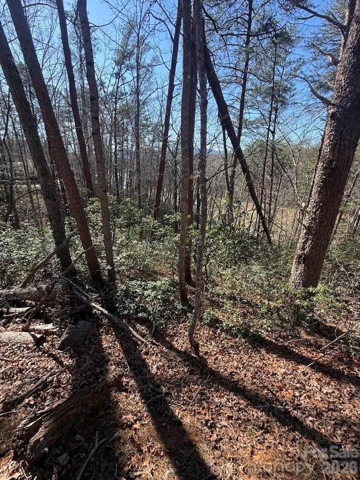 00 Canoe Drive #44 - Photo 6