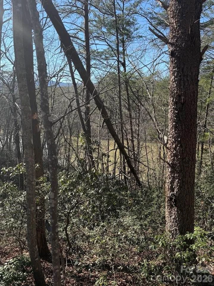 00 Canoe Drive #44 - Photo 14