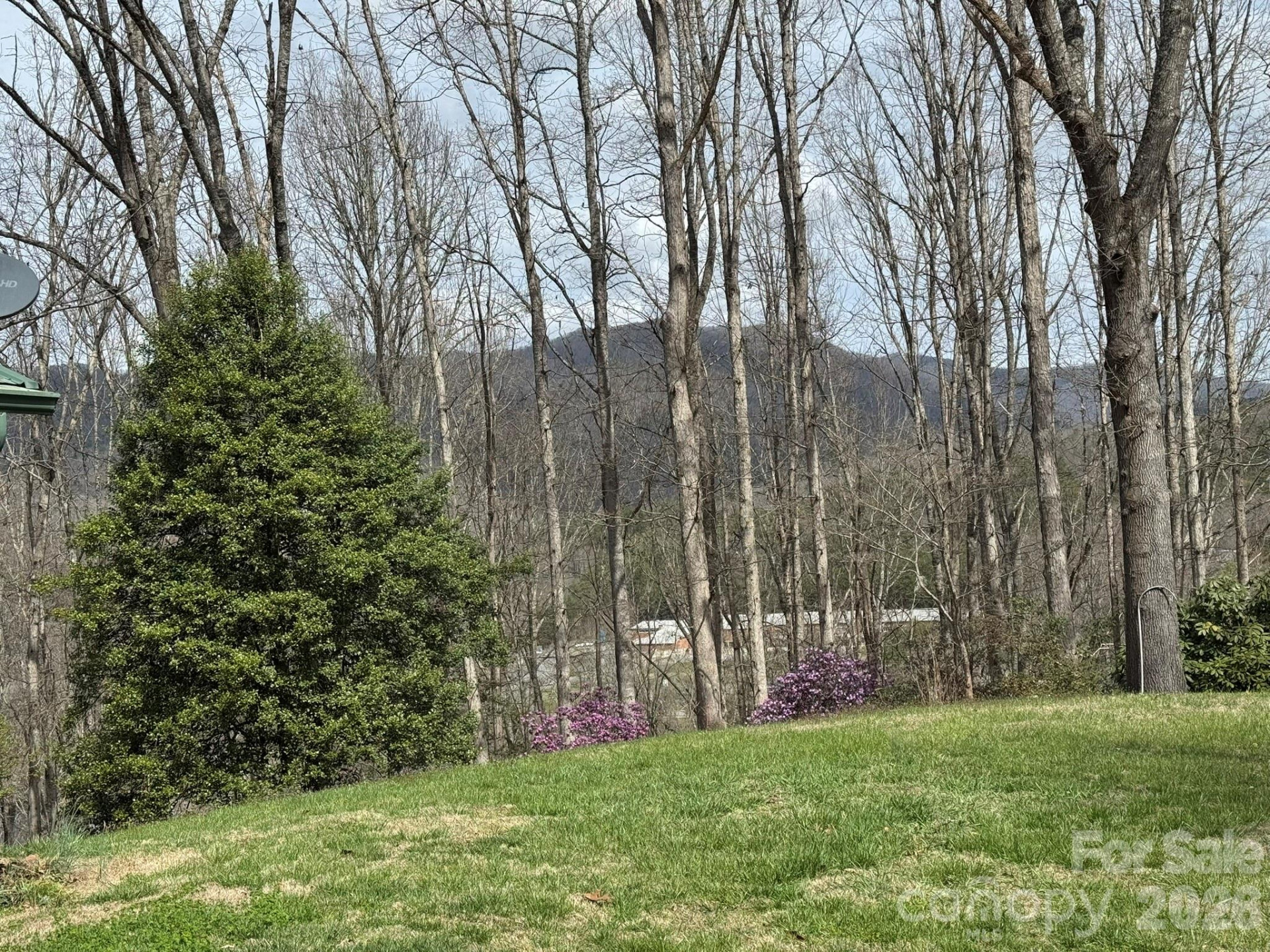 470 Ela Lane - Photo 25