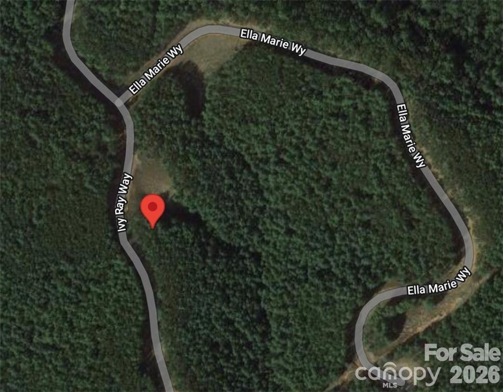 2377 Ivy Rays Way #56 - Photo 2