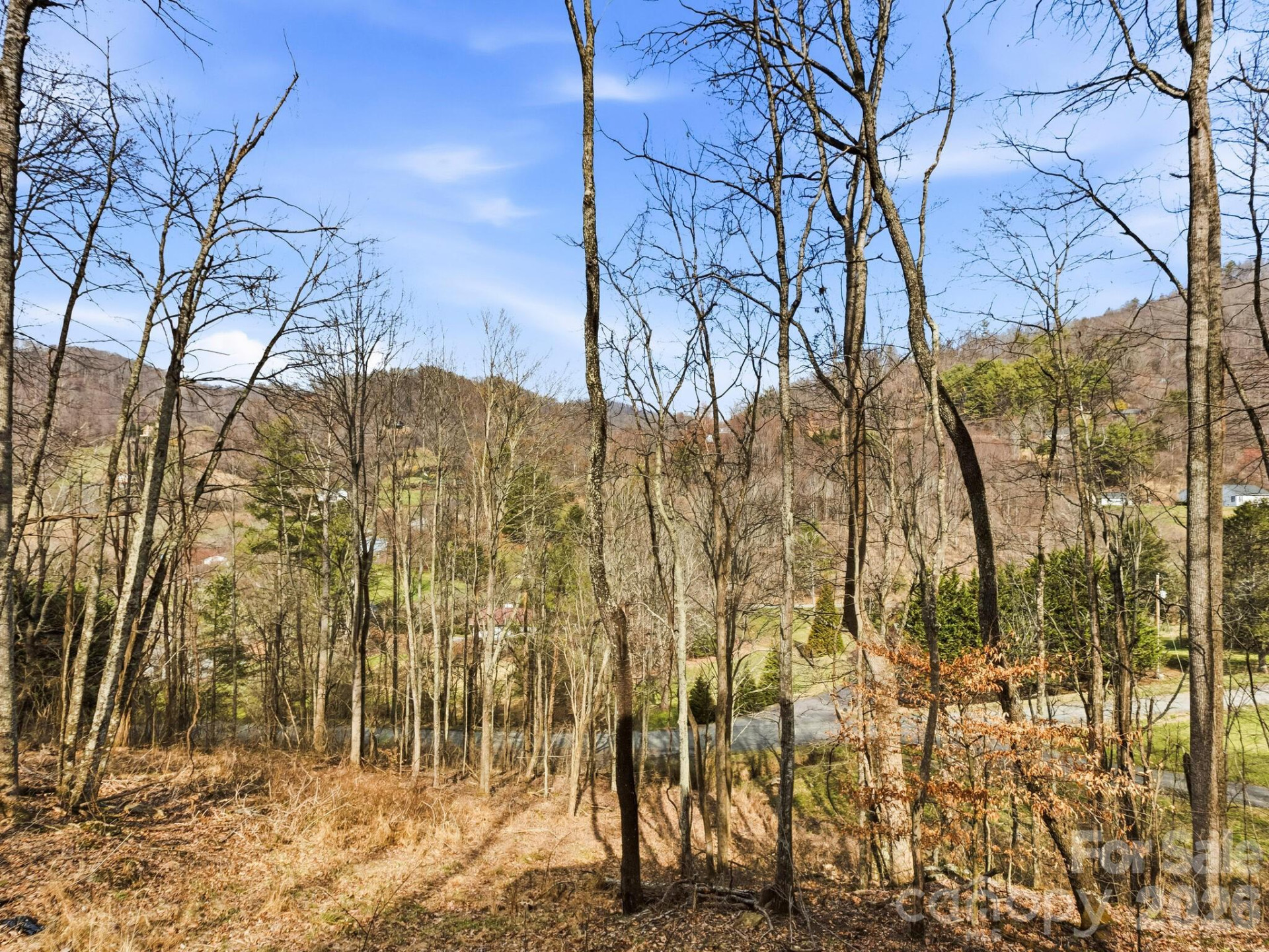 98 Harmony Hill Lane - Photo 42