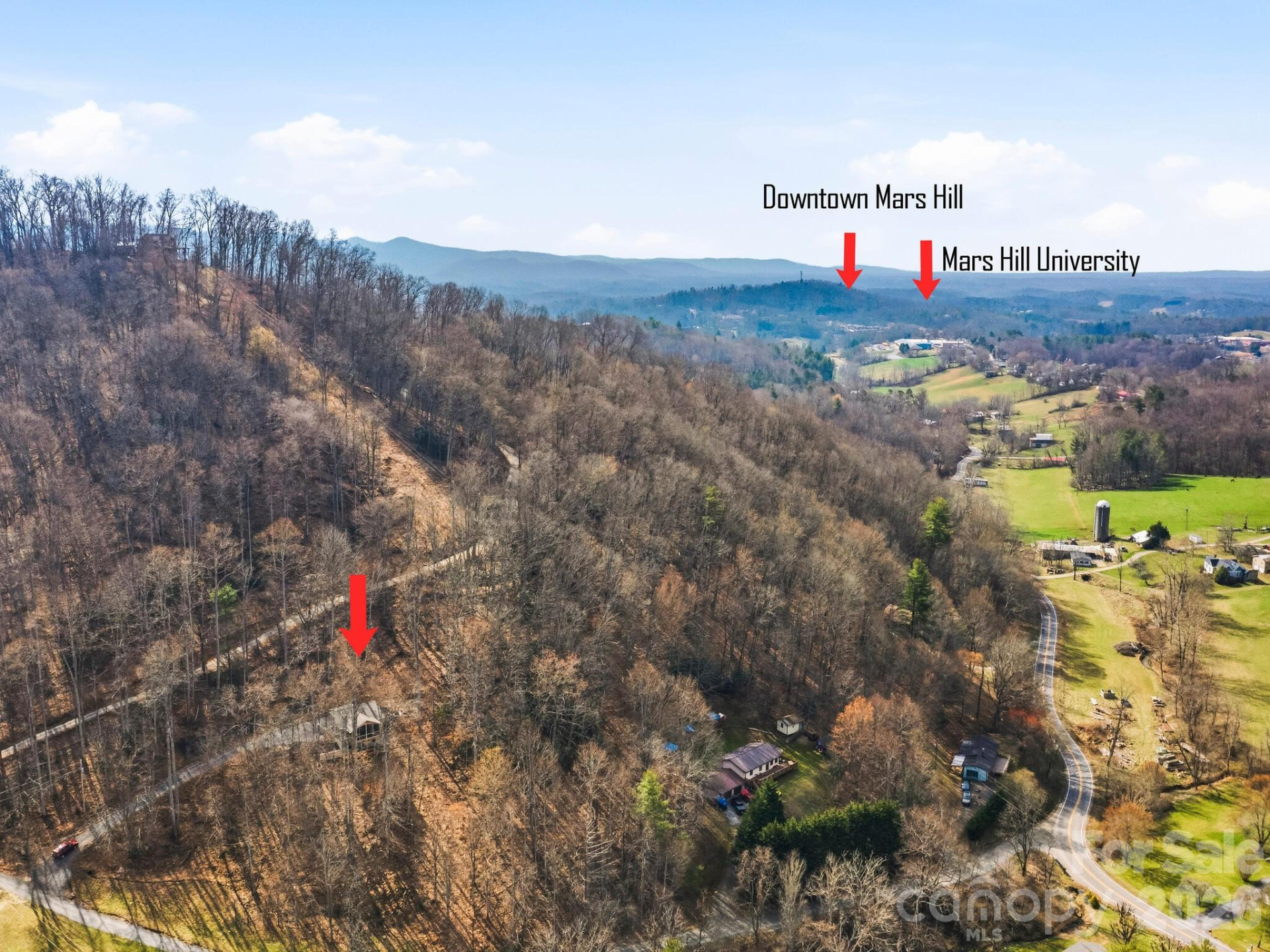 98 Harmony Hill Lane - Photo 46