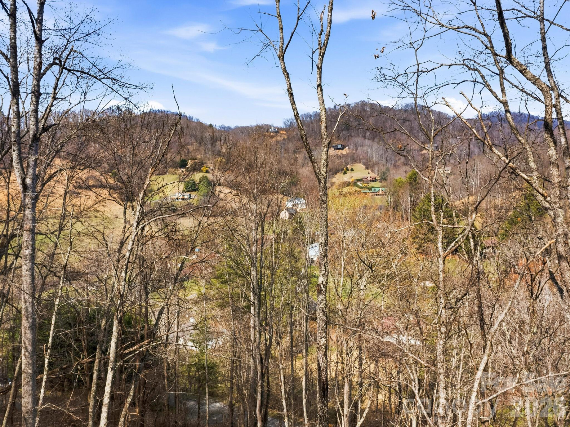 98 Harmony Hill Lane - Photo 48