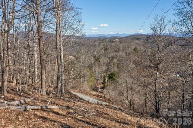 99999 Anderson Branch, Marshall, NC, 28753