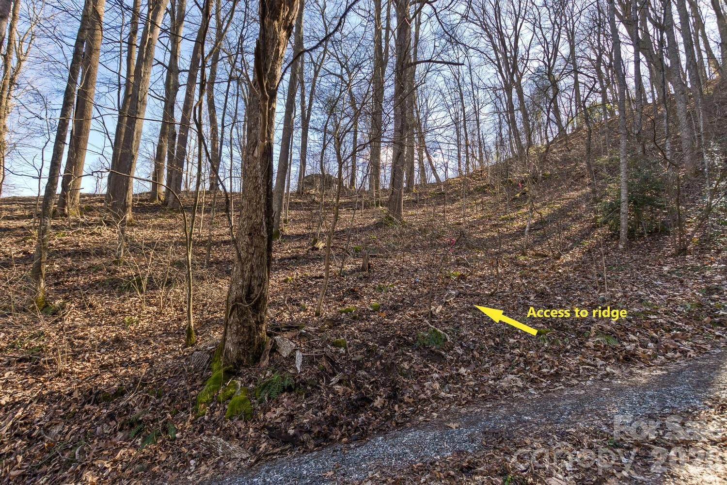 99999 Anderson Branch - Photo 13