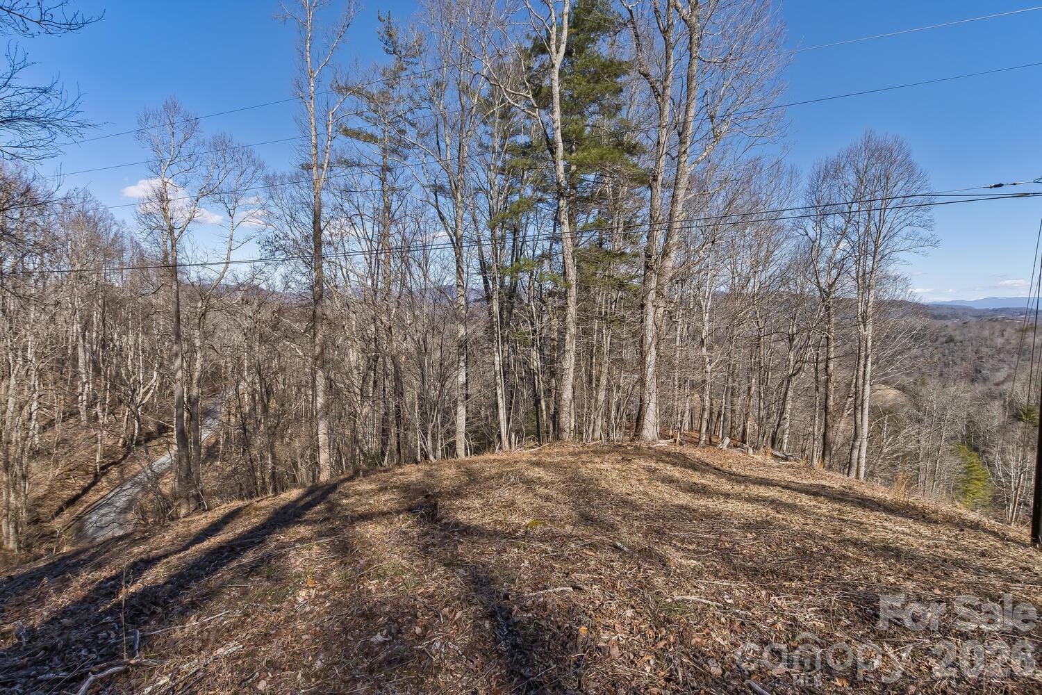 99999 Anderson Branch - Photo 14