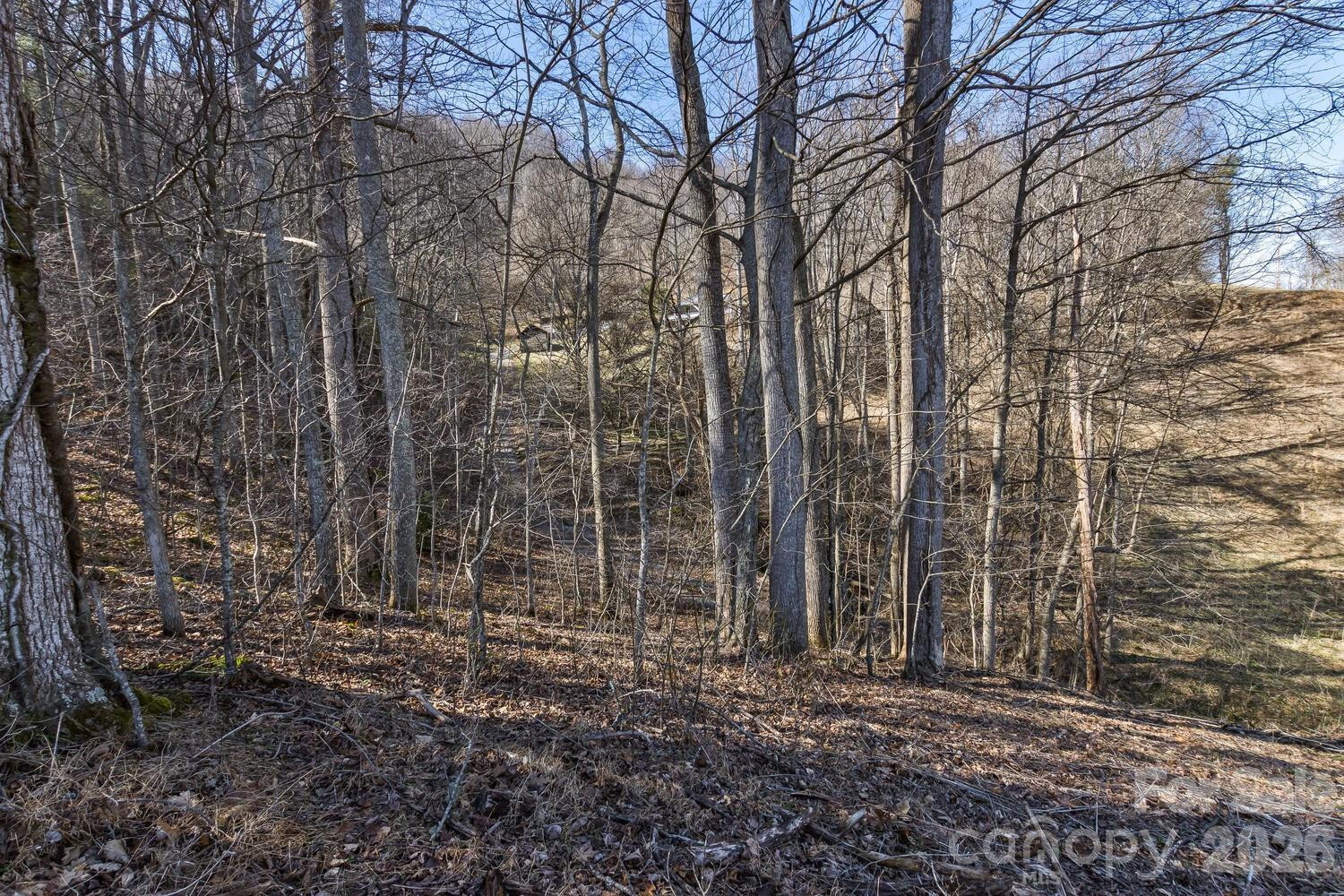 99999 Anderson Branch - Photo 15