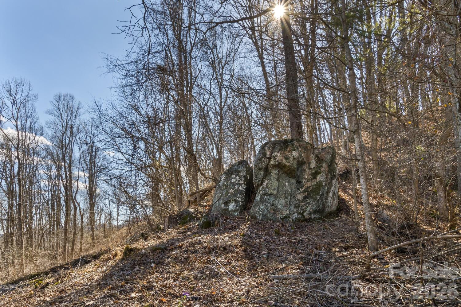 99999 Anderson Branch - Photo 17