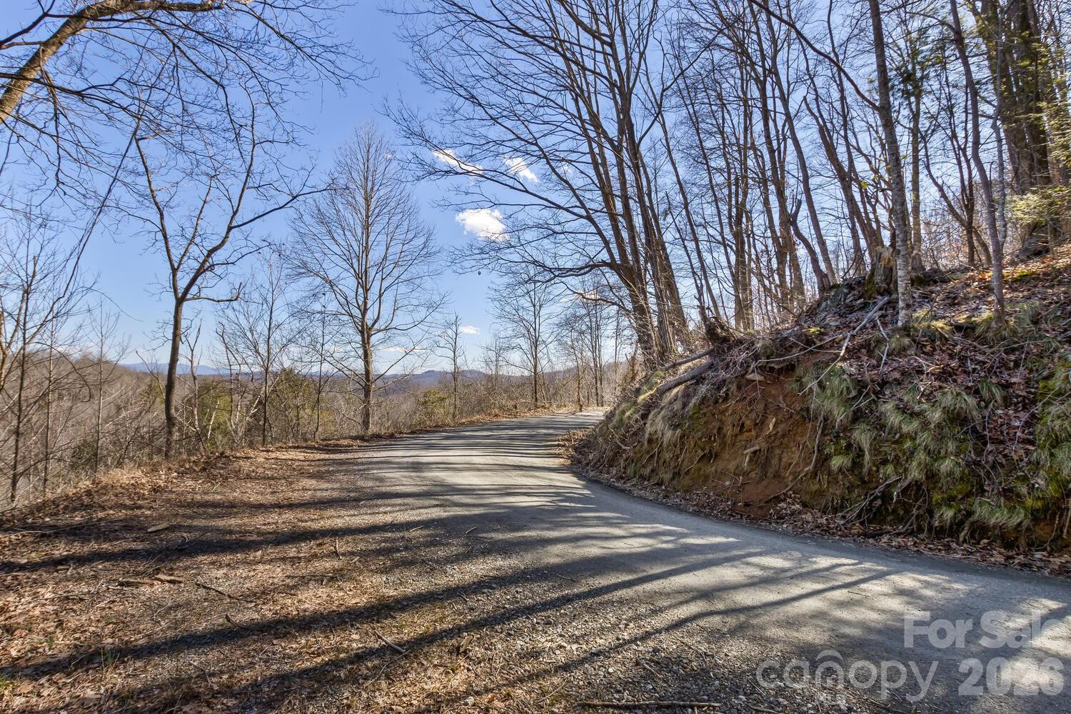 99999 Anderson Branch - Photo 19