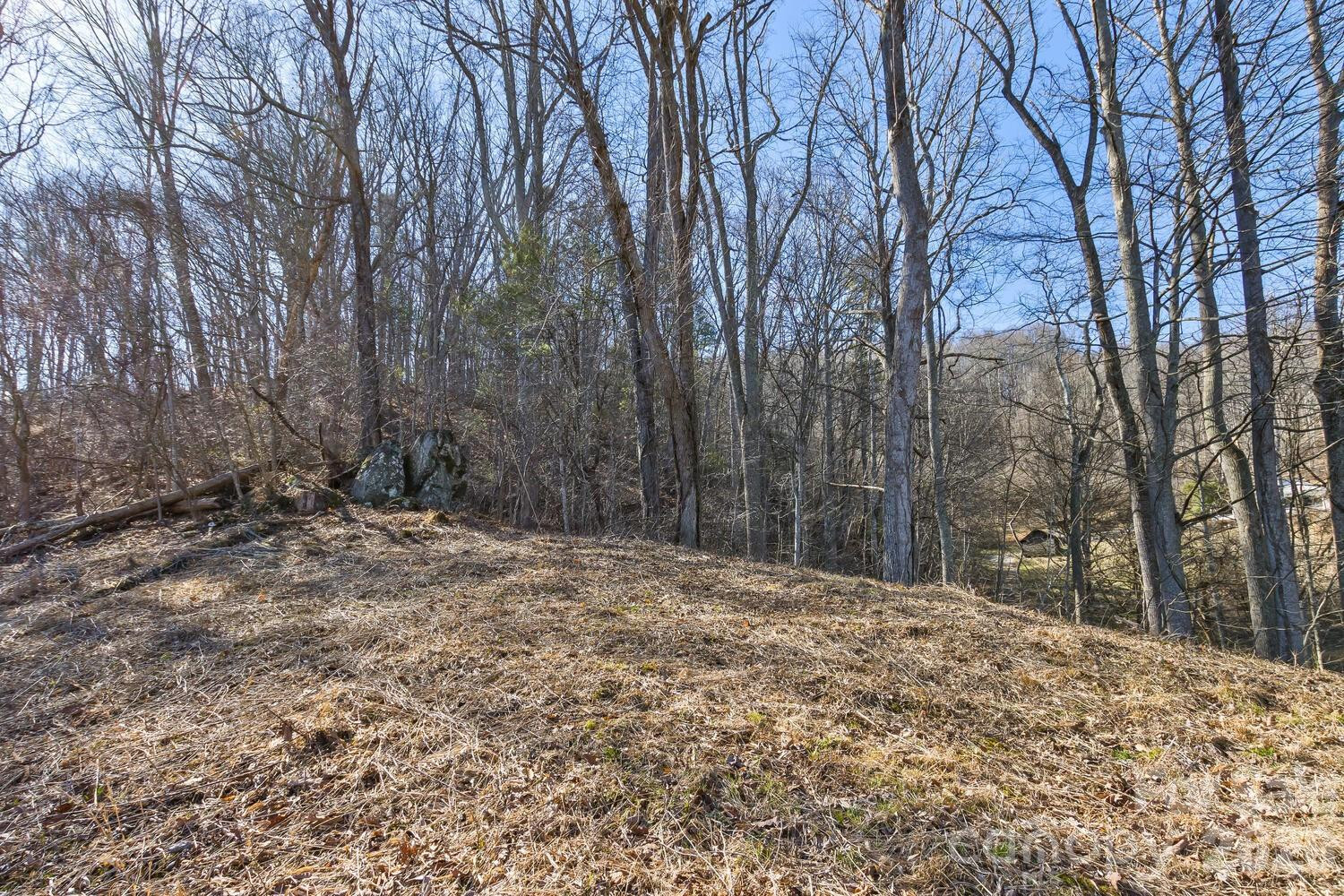 99999 Anderson Branch - Photo 3