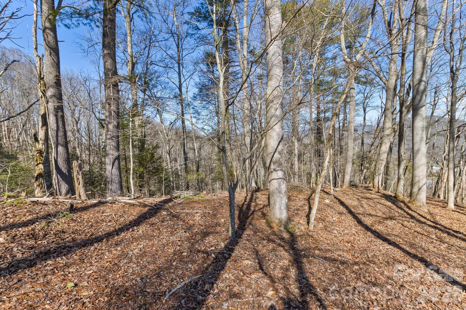 99999 Anderson Branch - Photo 5