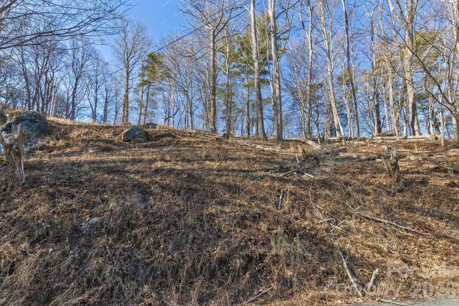 99999 Anderson Branch - Photo 9