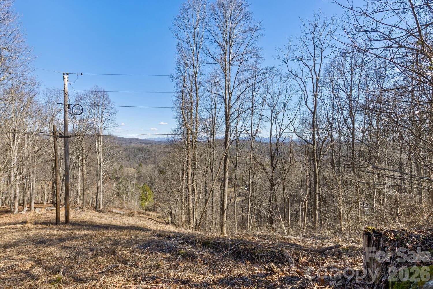 99999 Anderson Branch - Photo 10