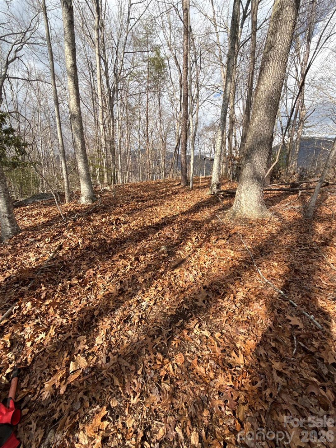 00000 Worley Cove Road - Photo 2