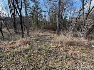 00000 Worley Cove Road - Photo 11