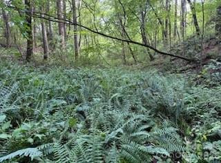 00000 Worley Cove Road - Photo 12