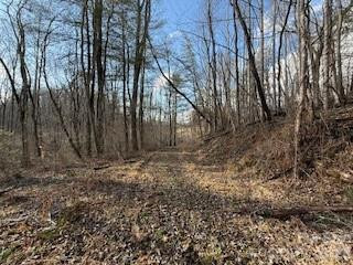 00000 Worley Cove Road - Photo 3