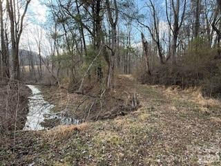 00000 Worley Cove Road - Photo 6