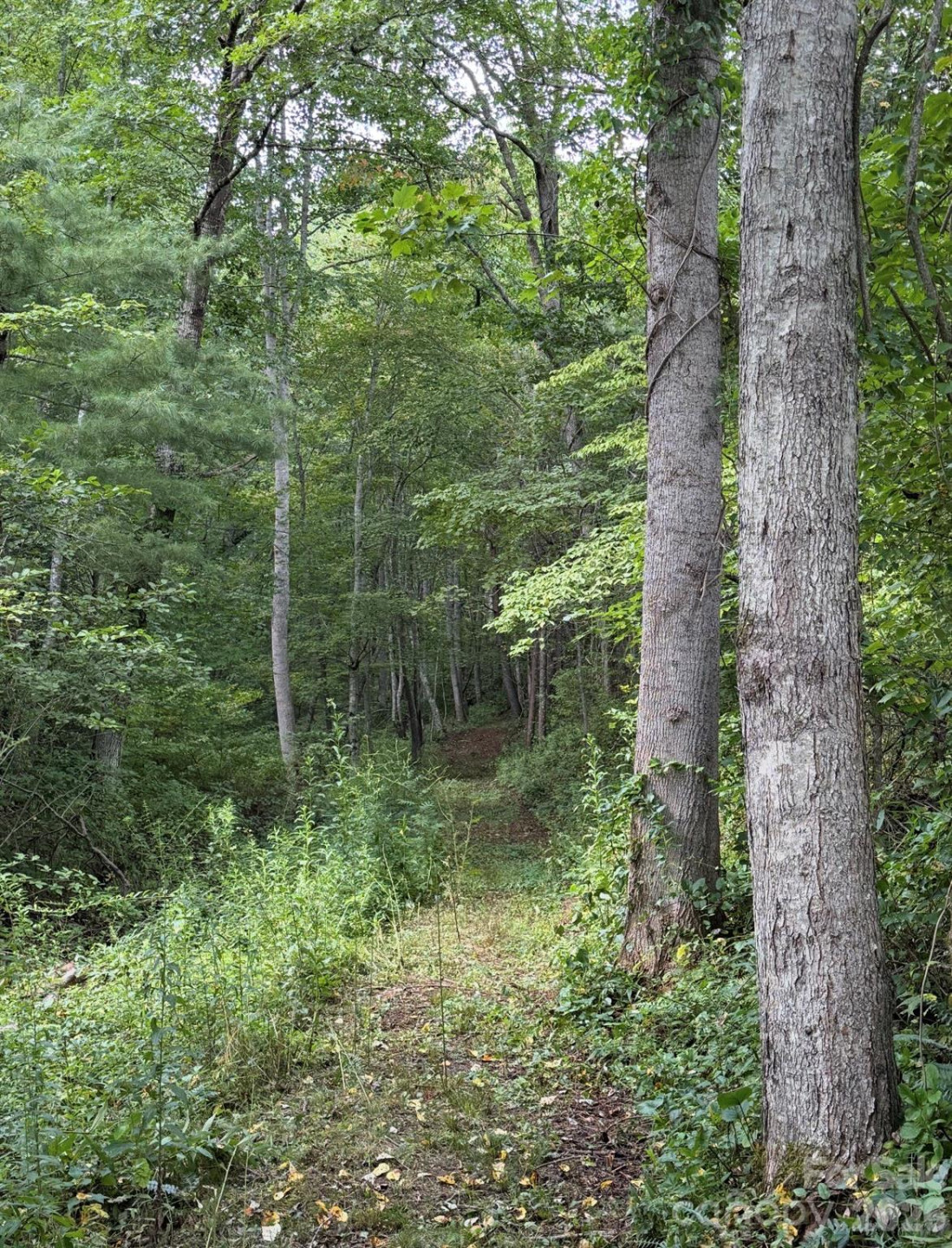 00000 Worley Cove Road - Photo 7