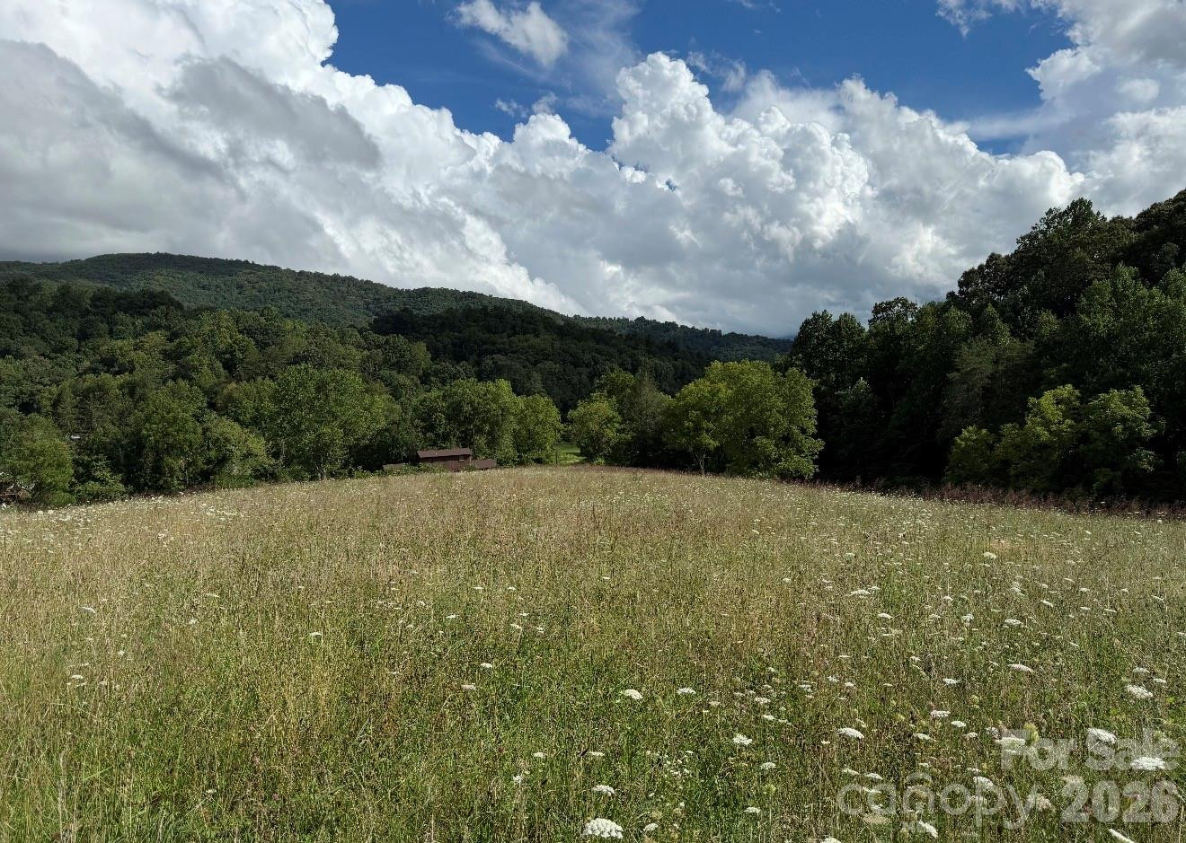 00000 Worley Cove Road - Photo 8