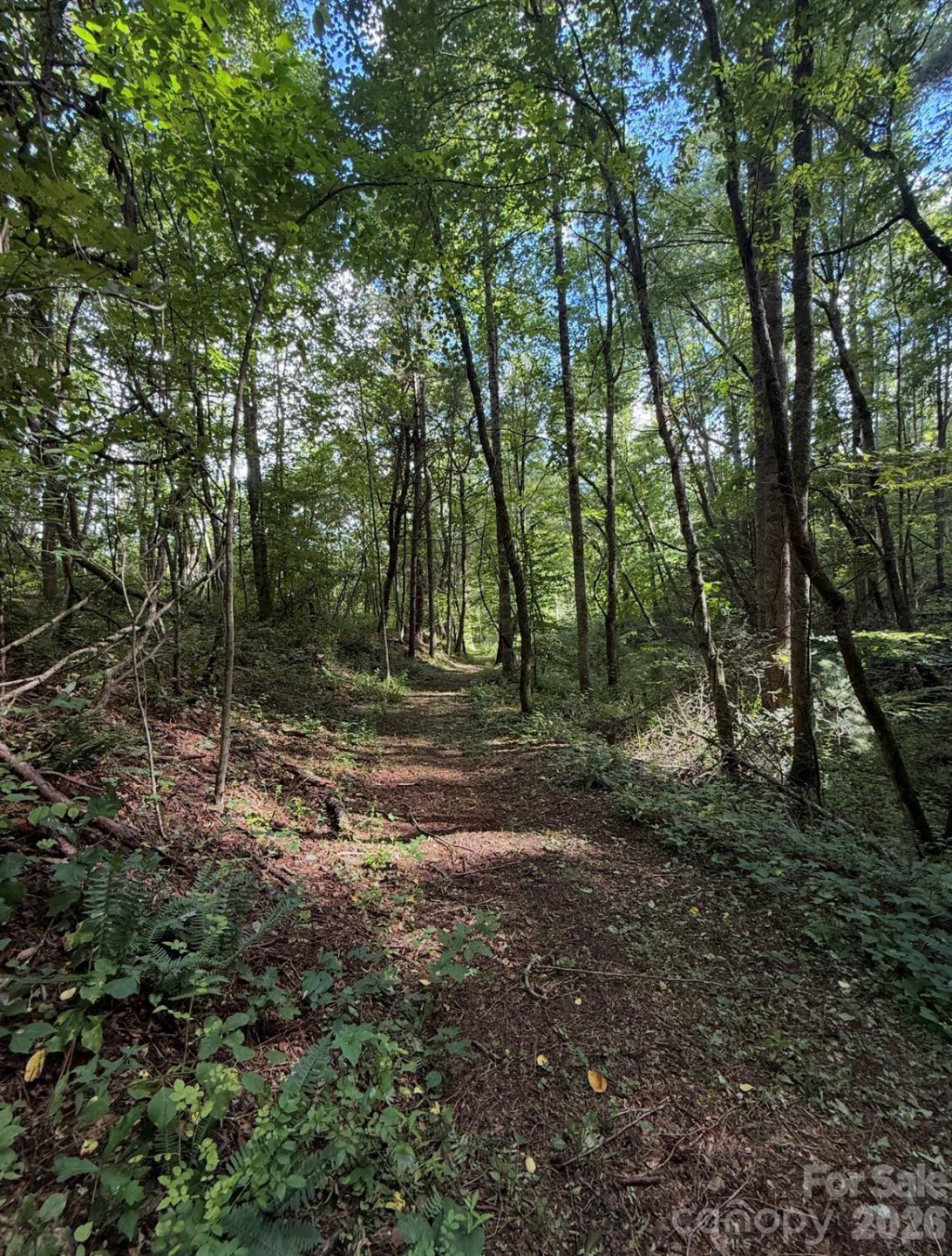 00000 Worley Cove Road - Photo 9